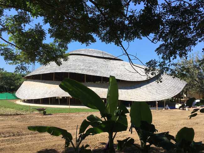 Organic architecture in natural materials